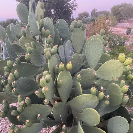 Il Trullo Dell'aia - 빌라