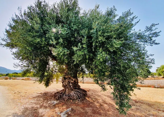 Il Trullo Dell'aia - 빌라 *