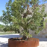 ヴィラ Il Trullo Dell'aia - オストゥーニ