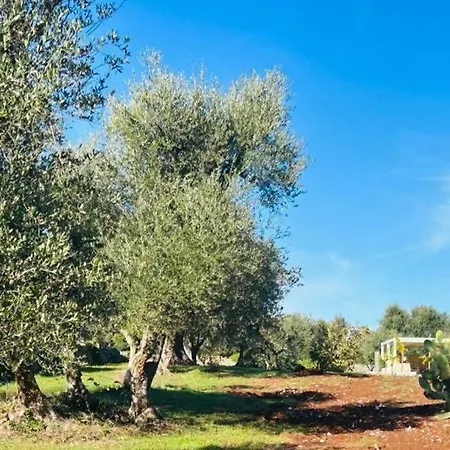 Il Trullo Dell'aia -