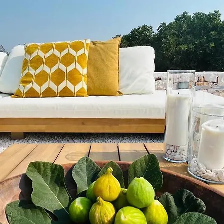 Il Trullo Dell'aia - 别墅 奥斯图尼