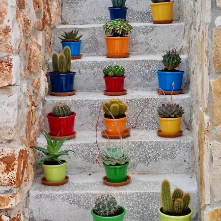 Il Trullo Dell'aia - *