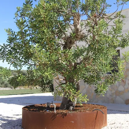 别墅 Il Trullo Dell'aia - 奥斯图尼