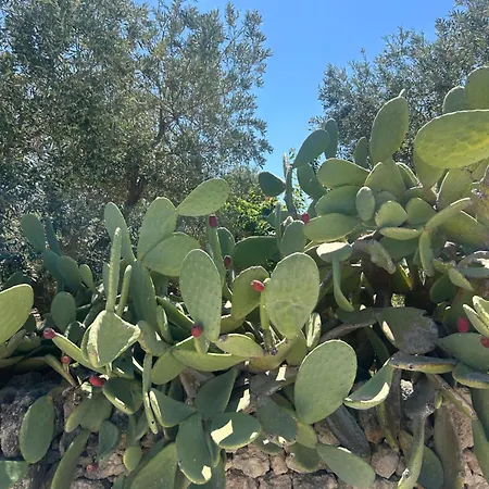 Il Trullo Dell'aia - * 奥斯图尼