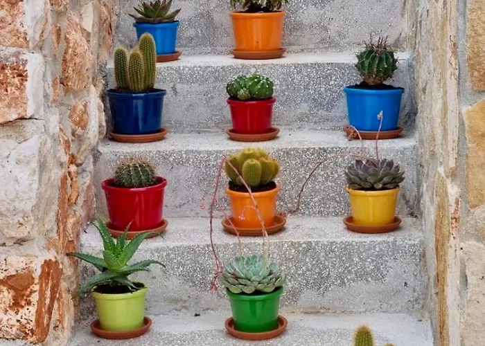 Il Trullo Dell'aia - *