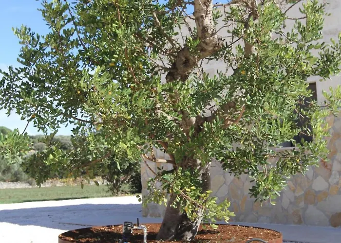 Villa Il Trullo Dell'aia - Ostuni
